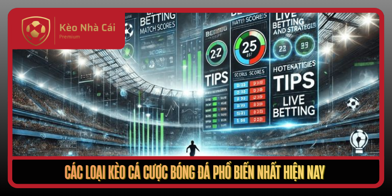 Kèo Nhà Cái - soi kèo phạt góc, kèo nhà cái 5 uy tín 2026 3 Cac Loai Keo Ca Cuoc Bong Da Pho Bien Nhat Hien Nay1